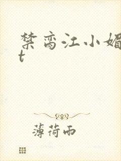 禁脔江小媚txt