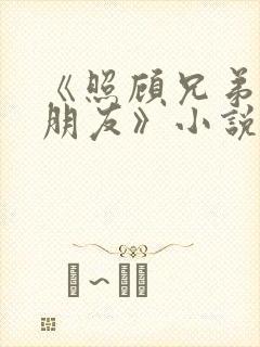 《照顾兄弟的女朋友》小说封面