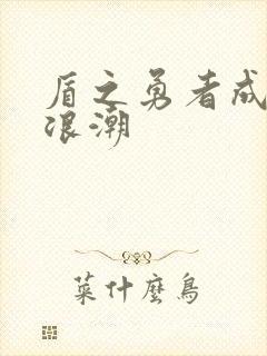 盾之勇者成名录浪潮