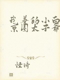 我养的小白脸是京圈太子爷