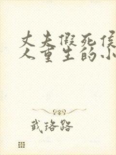 丈夫假死侯府夫人重生的小说