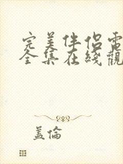 完美伴侣电视剧全集在线观看免费