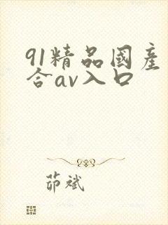 91精品国产综合av入口