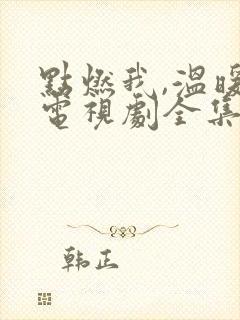 点燃我,温暖你电视剧全集在哪可以看封面