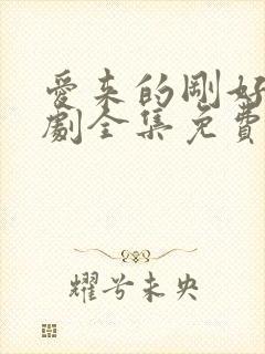 爱来的刚好电视剧全集免费观看完整版