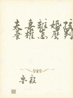 夫妻离婚孩子抚养权怎么判定一个孩子