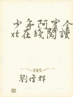 少年阿宾全集txt在线阅读