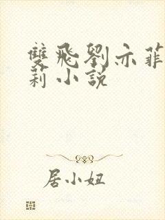 双飞刘亦菲刘晓莉小说