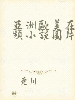 亚洲欧美在线视频小说图片封面