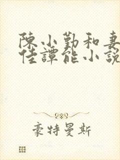 陈小勤和妻子宋佳谭能小说