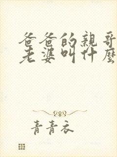 爸爸的亲哥哥的老婆叫什么称呼