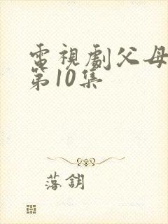 电视剧父母爱情第10集