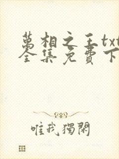 万相之王txt全集免费下载封面