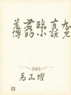 叶君临有九个师傅的小说免费阅读