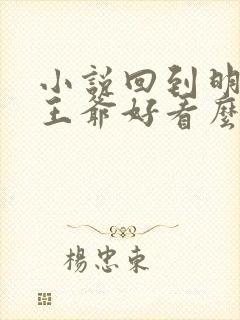 小说回到明朝当王爷好看么