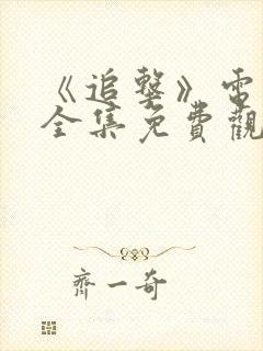 《追击》电视剧全集免费观看