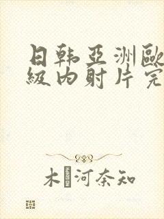 日韩亚洲欧美一级内射片完整