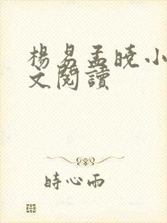 杨易孟晓小说全文阅读