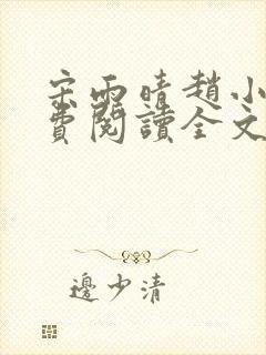 宋雨晴赵小刚免费阅读全文封面