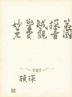 妙警贼探第一季免费观看国语