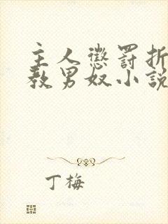 主人惩罚折磨调教男奴小说