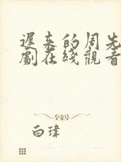 迟来的周先生短剧在线观看