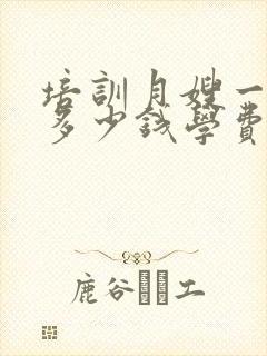 培训月嫂一般要多少钱学费