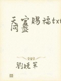 天官赐福txt网盘