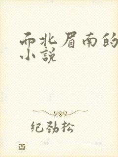 面北眉南的全部小说