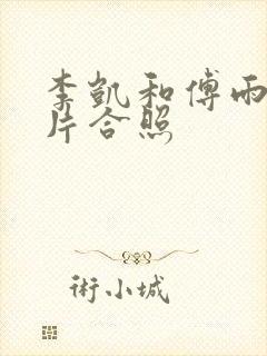 李凯和傅雨涵照片合照