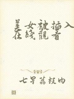 美女被插入网站在线观看