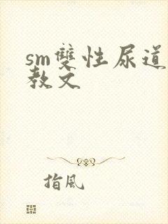sm双性尿道调教文