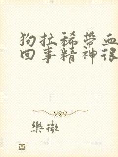 狗拉稀带血怎么回事精神很好封面