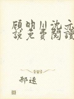 顾明川沈亦瑶小说免费阅读最新章节