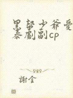 黑帮少爷爱上我泰剧副cp