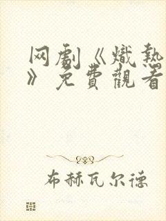 网剧《炽热吸引》免费观看