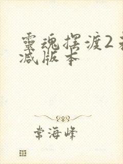 灵魂摆渡2未删减版本