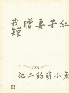 我赠妻子红缨枪短