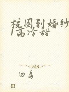 校园到婚纱1V1高冷甜