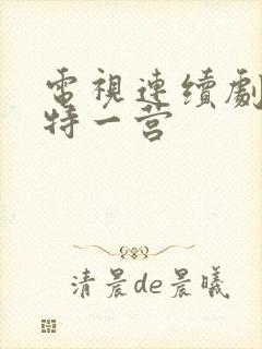 电视连续剧我的特一营