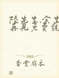 陆先生,余生不再见免费观看