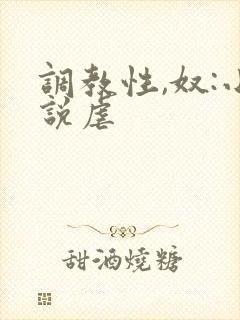 调教性,奴:小说虐