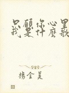 只愿你心里有个我是什么歌