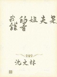 我的姐夫是太子能看