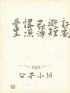 爱恨已逝许我半生凉薄短剧免费观看