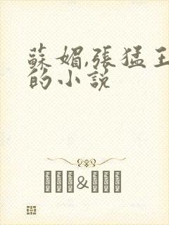 苏媚,张猛王海的小说