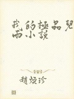 我的极品儿媳秦雨小说封面