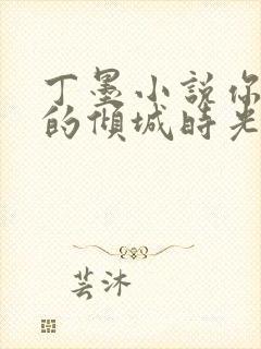 丁墨小说你和我的倾城时光免费阅读封面