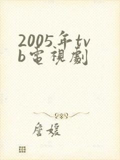 2005年tvb电视剧