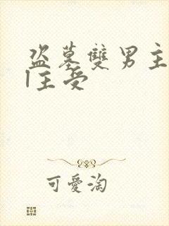 盗墓双男主all主受